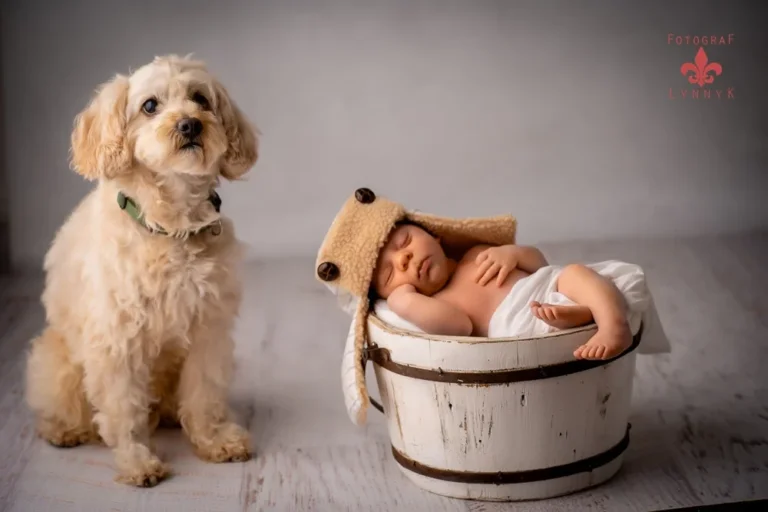Baby mit Hund im Studio – professioneller babyfotograf frankfurt für emotionale Erinnerungen