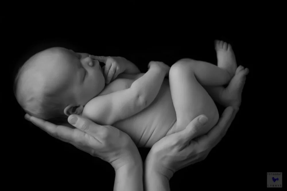 babyfotograf hanau baby portrait detail