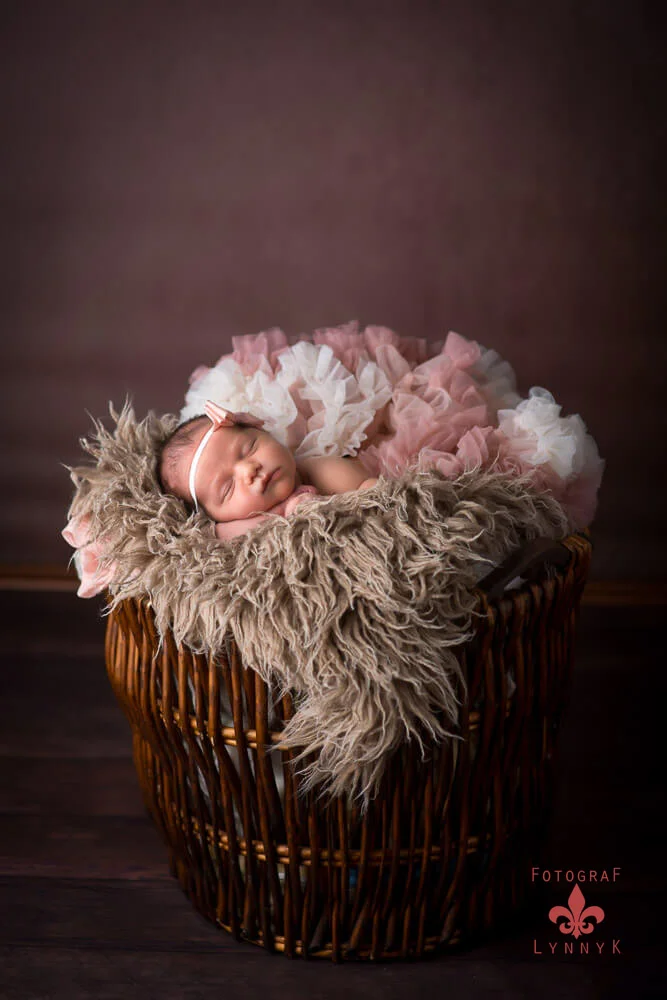 Neugeborenes im dekorativen Korb mit rosa Blumen – Babyfotograf Frankfurt