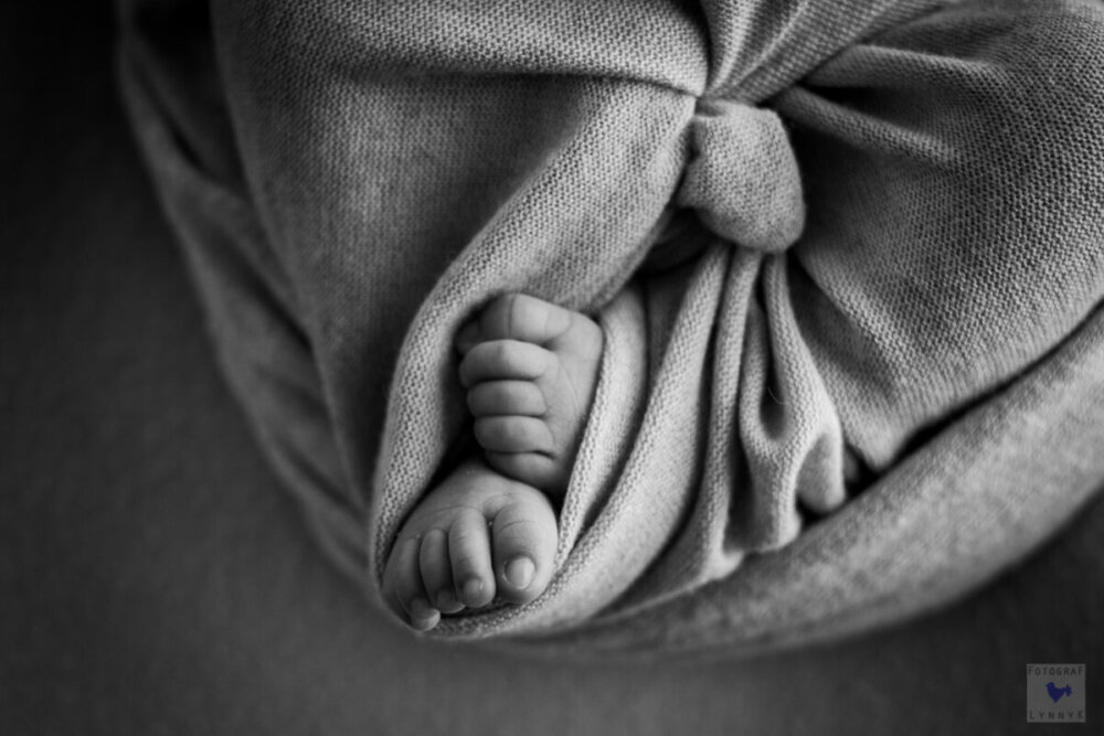 baby füsse fotos